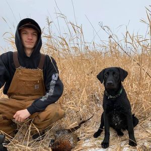 Meet your Posher, Preston